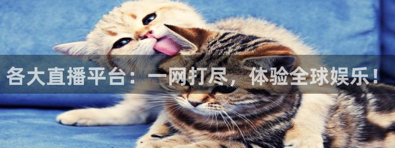 各大直播平台：一网打尽，体验全球娱乐！