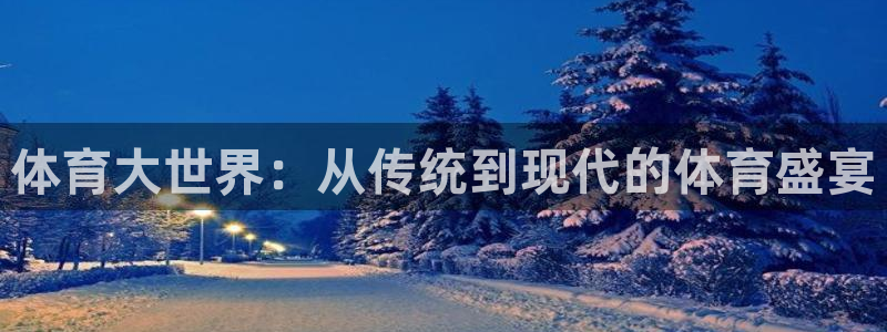 体育大世界：从传统到现代的体育盛宴