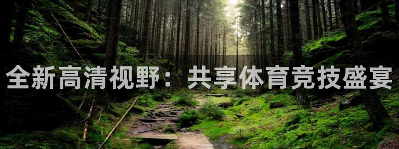 全新高清视野：共享体育竞技盛宴
