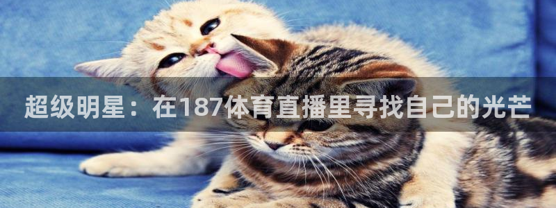 超级明星：在187体育直播里寻找自己的光芒