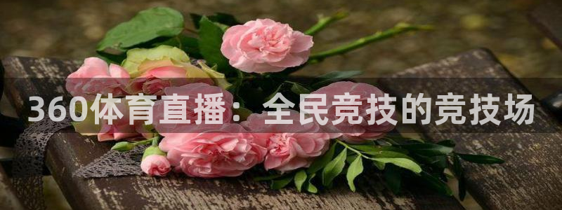 360体育直播：全民竞技的竞技场