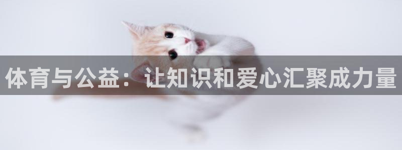 体育与公益：让知识和爱心汇聚成力量