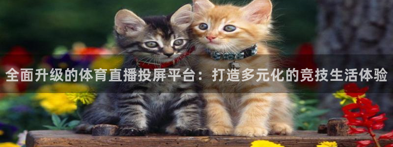 全面升级的体育直播投屏平台：打造多元化的竞技生活体验