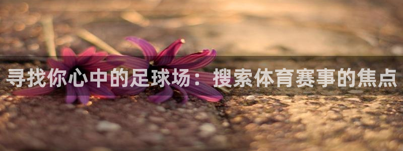 寻找你心中的足球场：搜索体育赛事的焦点