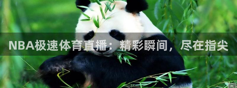 NBA极速体育直播：精彩瞬间，尽在指尖