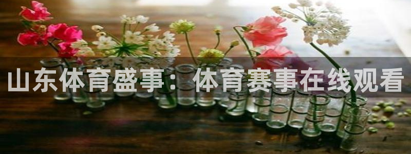 山东体育盛事：体育赛事在线观看