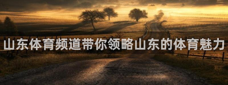 山东体育频道带你领略山东的体育魅力
