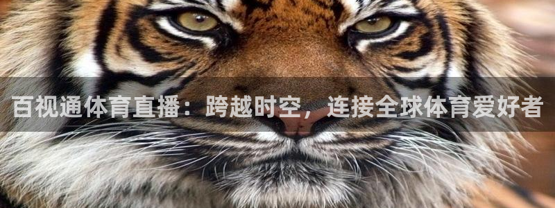 百视通体育直播：跨越时空，连接全球体育爱好者