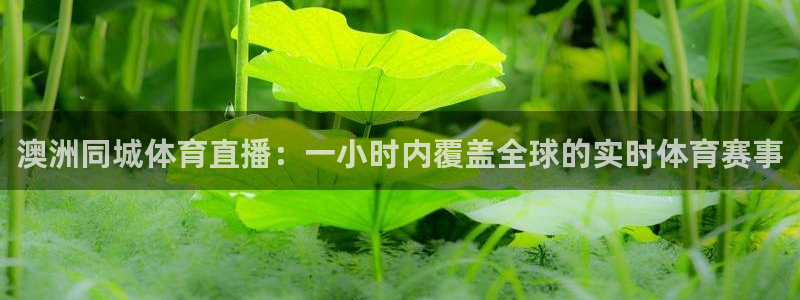澳洲同城体育直播：一小时内覆盖全球的实时体育赛事