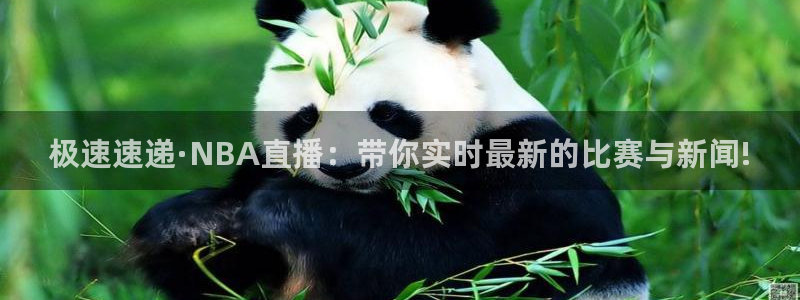 极速速递·NBA直播：带你实时最新的比赛与新闻!