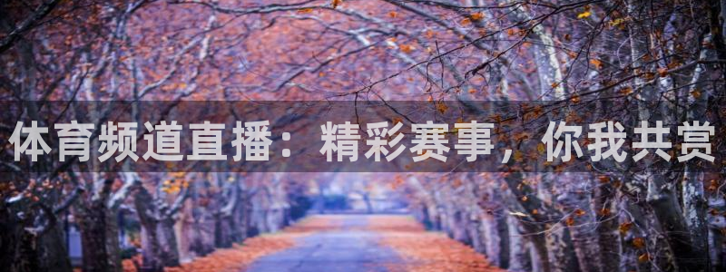 体育频道直播：精彩赛事，你我共赏