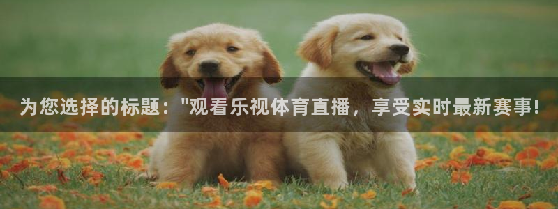 为您选择的标题：\