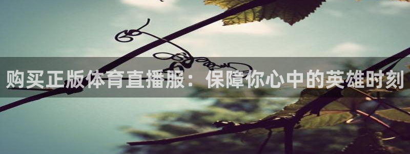 购买正版体育直播服：保障你心中的英雄时刻