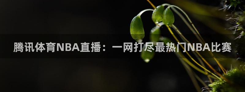 腾讯体育NBA直播：一网打尽最热门NBA比赛