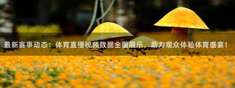 最新赛事动态：体育直播视频数据全面展示，助力观众体验体育盛宴！