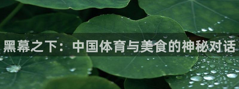 黑幕之下：中国体育与美食的神秘对话
