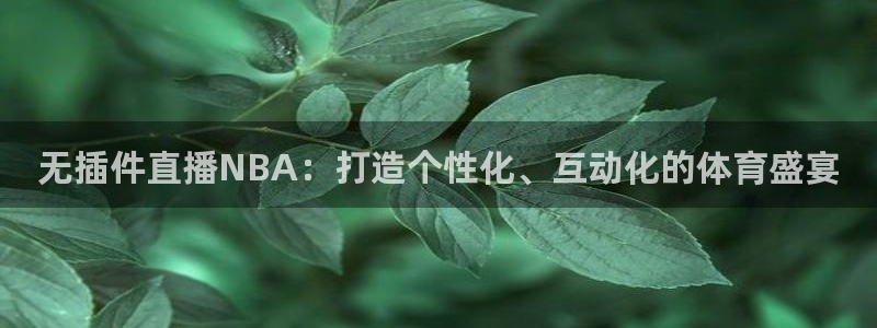 无插件直播NBA：打造个性化、互动化的体育盛宴