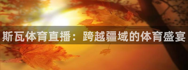 斯瓦体育直播：跨越疆域的体育盛宴