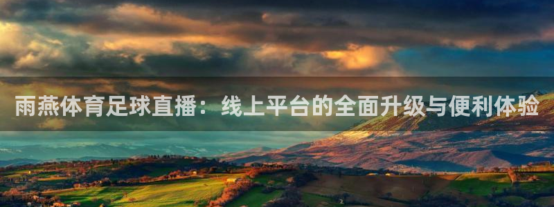 雨燕体育足球直播：线上平台的全面升级与便利体验