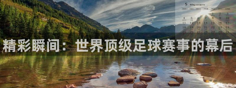 精彩瞬间：世界顶级足球赛事的幕后