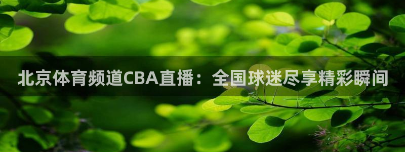 北京体育频道CBA直播：全国球迷尽享精彩瞬间
