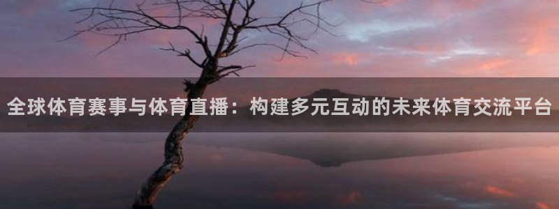 全球体育赛事与体育直播：构建多元互动的未来体育交流平台