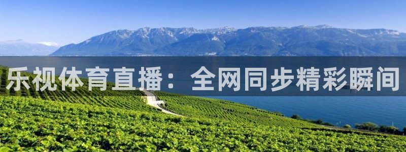 乐视体育直播：全网同步精彩瞬间