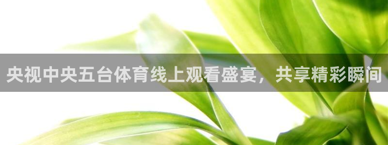 央视中央五台体育线上观看盛宴，共享精彩瞬间