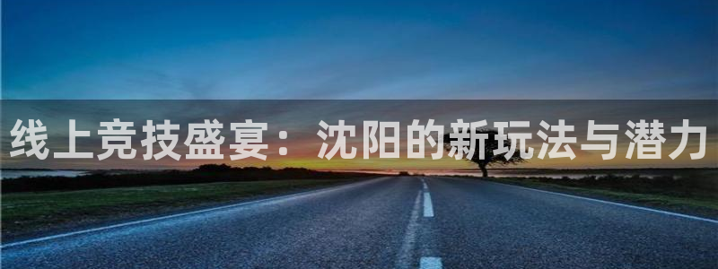 线上竞技盛宴：沈阳的新玩法与潜力