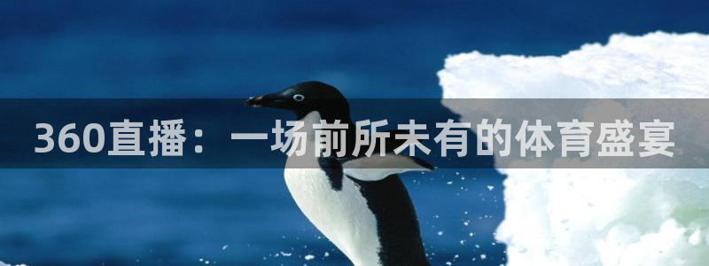 360直播：一场前所未有的体育盛宴
