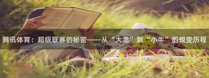 腾讯体育：超级联赛的秘密——从“大龙”到“小牛”的蜕变历程