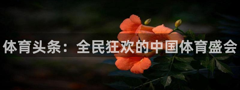 体育头条：全民狂欢的中国体育盛会